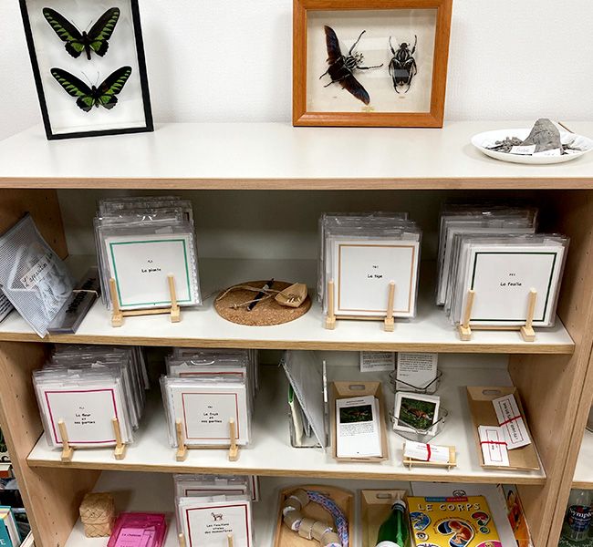 Biology shelves in the elementary classroom