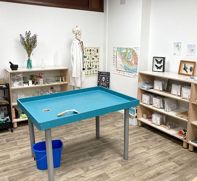 Experiment table and science shelves